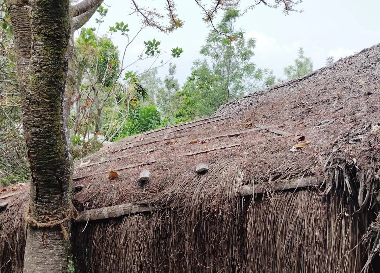 Cosmic Mud House Kanthalloor